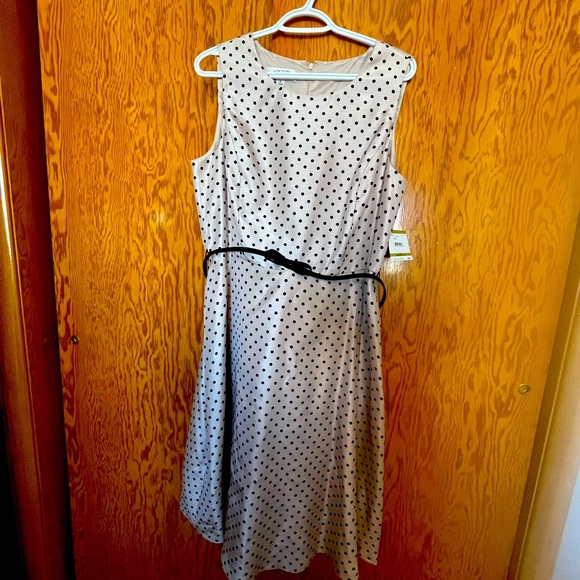 Size 14 Kasper polka dot midi dress with belt. - Picture 1 of 4